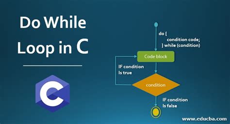 Do While Loop in C | Concose Guide to do While Loop in C Programming