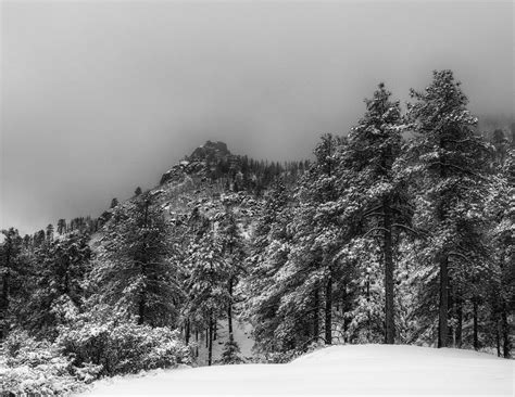 A snow day in the Hualapai Mountains | BT Photographs | Flickr