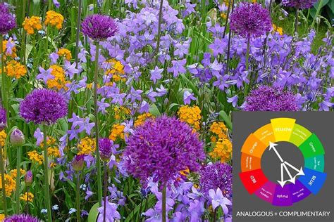 Simple Secrets for Creating Garden Color Schemes | Purple flowers ...