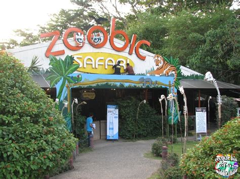 Rammmpa!: Safari Night at Zoobic Safari