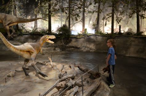 Royal Tyrrell Museum | Family Fun Calgary