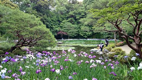 The Japanese Gardens of Heian Jingu Shrine : Kyoto | Visions of Travel