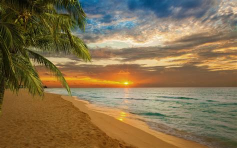 Sunset beach sea shore wallpaper | nature and landscape | Wallpaper Better