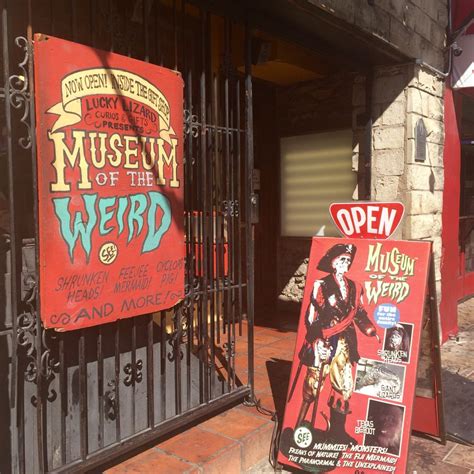 Museum of the Weird - 152 Photos - Museums - Downtown - Austin, TX ...