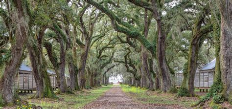 A living history book — Evergreen Plantation