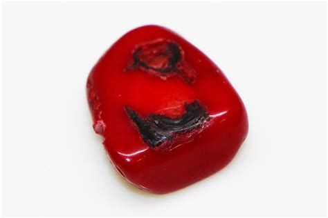 Natural Red Coral Stone Sale 12.63ct - GemstoneBank.com