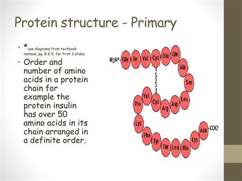 Primary Structure Of Proteins