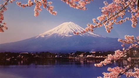 Mount Fuji Cherry Blossom