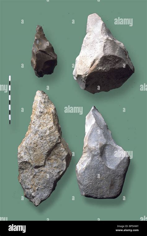 TOOLS USED BY HOMO ERECTUS C. 50TH. MILLENNIUM. THE STONE TOOL IS SHARPENED ONLY AT ONE SIDE ...