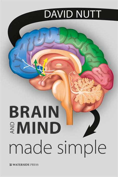 Brain and Mind Made Simple - Waterside Press