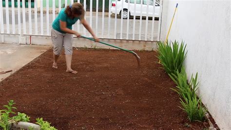 Jardinería. Como Trasplantar pasto o zacate nuevo. Hazlo en forma práctica. #DIY liclonny - YouTube