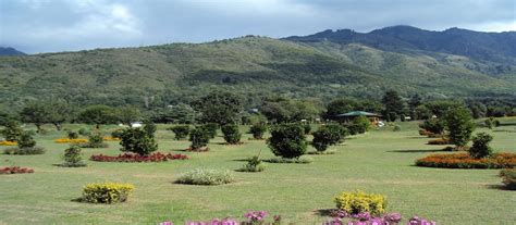 Nehru Botanical Garden in Srinagar | Gardens in Srinagar