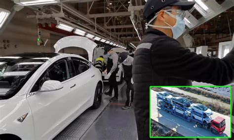 Tesla Giga 3 Shanghai Resumes Fully Production, Many China-Made Model