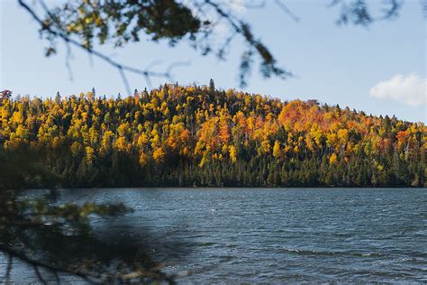 What's The 2023 Minnesota Fall Colors Outlook?