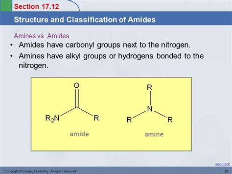 Amine Vs Amide Structure