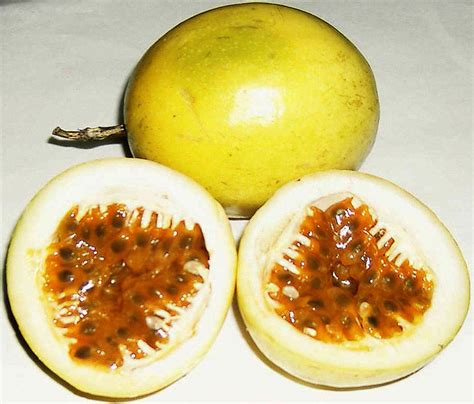 Passion fruit: Wiki facts for this cookery ingredient