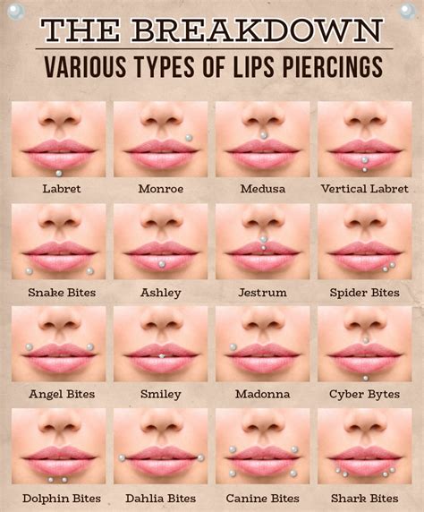 Lip Piercing Aftercare & Healing | Labret Piercings | UrbanBodyJewelry.com