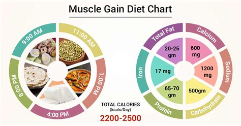 Diet Chart For Muscle Gain Patient, Muscle Gain Diet chart | Lybrate.