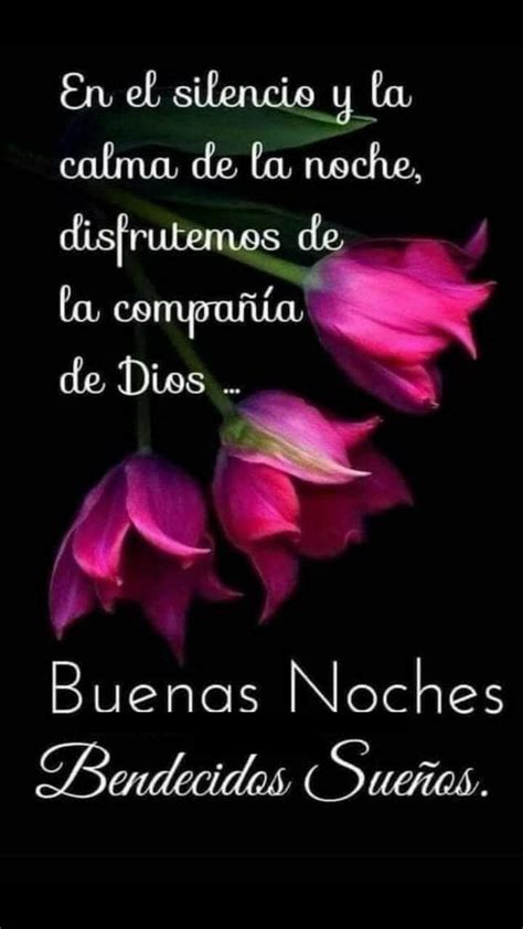 Buenas Noches | Buenas noches con flores, Frases lindas de buenas noches, Buenas noches