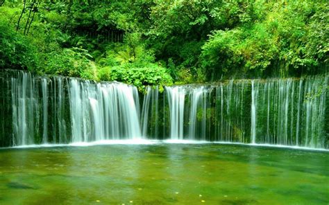 1920x1200, Green Forest Waterfall Data Id 268607 - Shiraito Falls ...