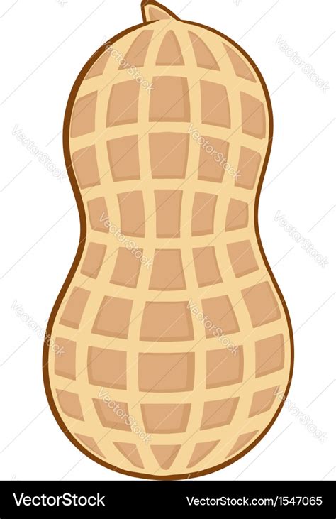 Peanut cartoon Royalty Free Vector Image - VectorStock