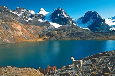 Cordillera Oriental de Bolivia - EcuRed