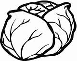 Lettuce coloring Page  Free Printable Coloring Pages sketch template