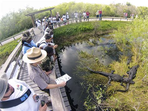 Everglades National Park is Open - Everglades National Park (U.S. National Park Service)