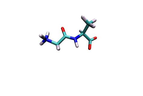 The dipeptide used as the model system. | Download Scientific Diagram