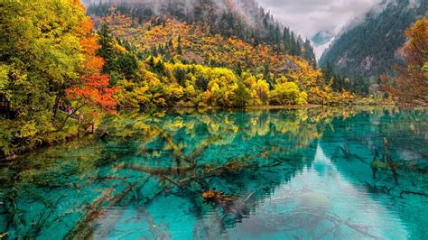 Jiuzhaigou 九寨沟 The Nine Village Valley | National parks, Lake, Nature