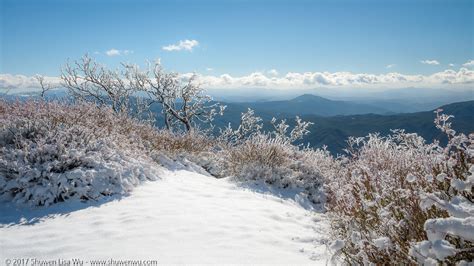 Winter Views from Palomar Mountain – Shuwen Lisa Wu