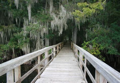 Manatee Springs State Park | Florida State Parks