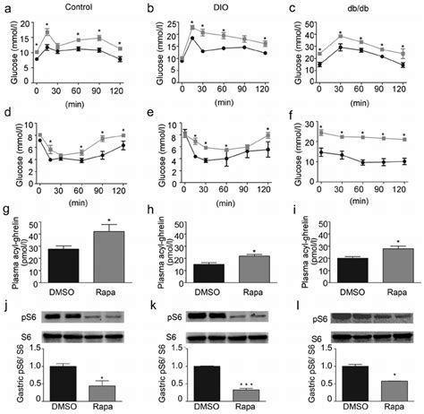 Effect of ghrelin receptor antagonism or ghrelin receptor gene deletion ...