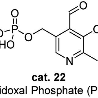 Structure of pyridoxal phosphate (PLP) | Download Scientific Diagram