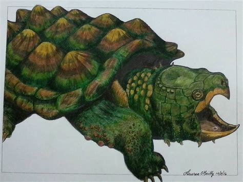 Alligator Snapping Turtle by Lauren O Reilly Anderson | Turtle painting, Alligator snapping ...