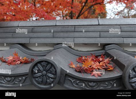 autumn colour in Kyoto Stock Photo - Alamy