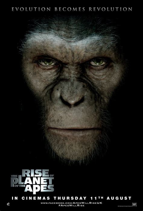 Rise of the Planet of the Apes (#3 of 11): Extra Large Movie Poster Image - IMP Awards