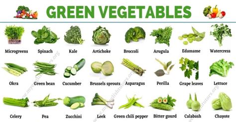 Green Vegetables: List of 31 Types of Vegetables that Have Green Color - My English Tutors