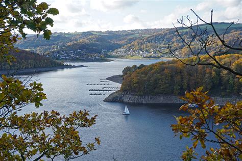 Top 10 Facts about Eifel National Park - Discover Walks Blog