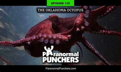 Ep. 135 – The Oklahoma Octopus | Paranormal Punchers