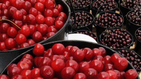 Door County cherry picking 2019: Some orchards opening, more next week