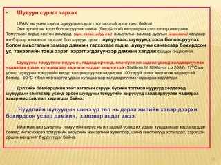 Шувууны томуу | PPT