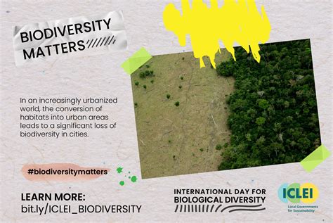 10 reasons to promote urban biodiversity – CityTalk