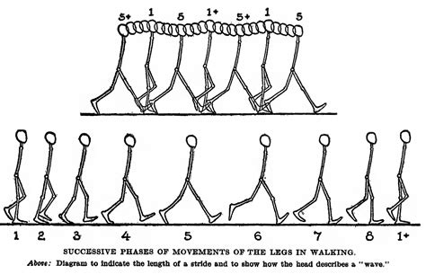 Beautiful Tips About How To Draw A Walking Person - Effectsteak33