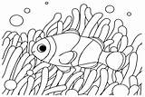 Clownfish With Anemonefish Coloring Page  Free Printable Pages sketch template