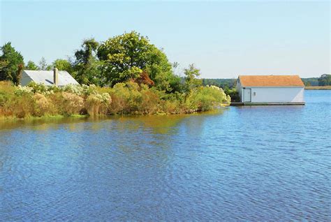 Serenity at Blackwater National Wildlife Refuge Photograph by Emmy Marie Vickers | Fine Art America