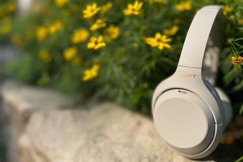 Sony WH-1000XM4 review: Noise-cancelling headphones you can live in