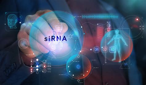 siRNA: From a Powerful Research Tool to Potent Therapeutic Modality - Oligonucleotide ...