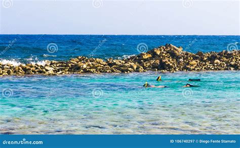 Snorkeling in Baby Beach, Aruba. Stock Image - Image of fluid, barrels ...