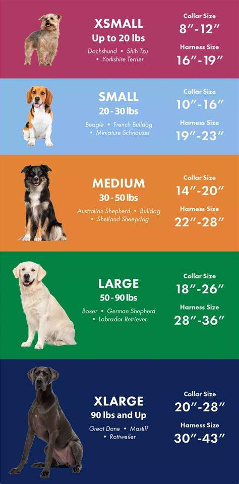 Dog Harness Size Chart By Breed